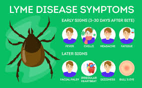 Lyme Disease Symptoms