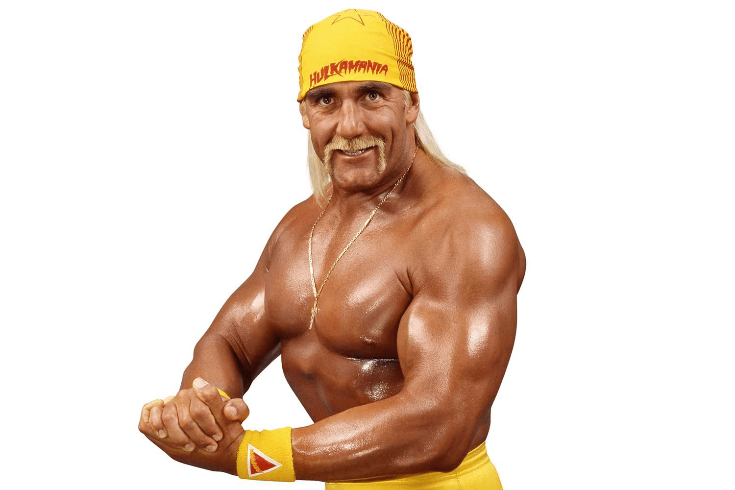 Hulk Hogan