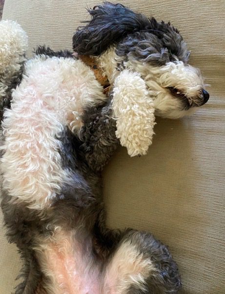 My Healthy Sleep Stack: What I Use for Deep, Restorative Rest